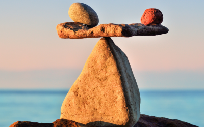 What Are the Pillars of Health in Lifestyle and Integrative Medicine?